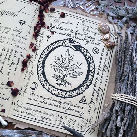 The Herbalist Witch's Almanac: Seasons, Cycles, and Magickal Workings with Plants